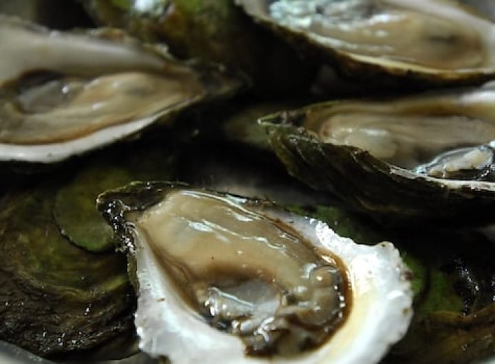 Taylor brand oysters distributed in 3 provinces recalled over possible norovirus contamination