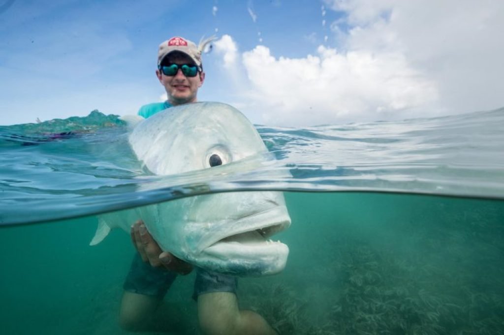 Giant Trevally