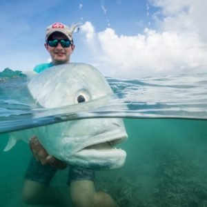 Giant Trevally