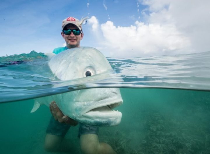 Giant Trevally