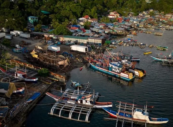 The agriculture department and fisheries bureau fail to file an appeal against a Malabon court's decision to allow Mercidar Fishing Corporation to fis