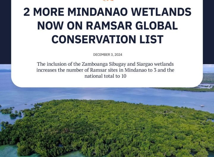 Two wetlands in Mindanao, one in the Caraga region and another in the Zamboanga Peninsula, have been added to the Ramsar Convention’s list of wetlands