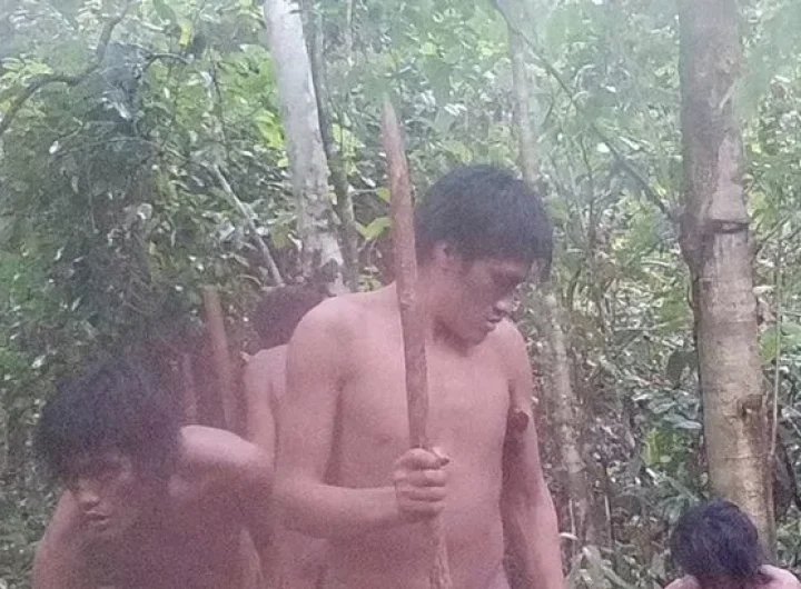 Uncontacted Amazon tribe seen for very first time in astonishing new photos