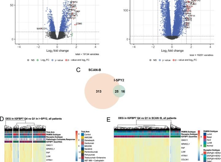 Unexpected discovery revives abandoned breast cancer treatment