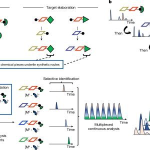 Universal barcodes unlock fast-paced small molecule synthesis