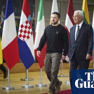 Volodymyr Zelenskyy tells Ukraine’s diplomats to fight for Nato membership | Ukraine