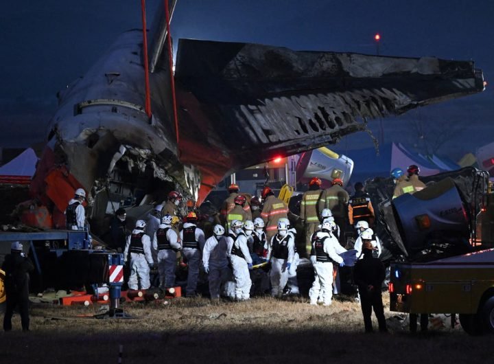 Why did the South Korean Jeju Air flight crash, killing 179? Experts question bird strike claims