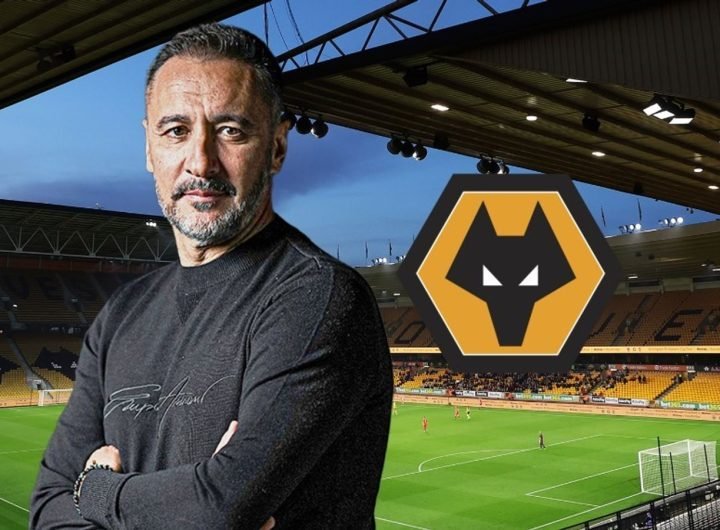 Vitor Pereira, Wolves