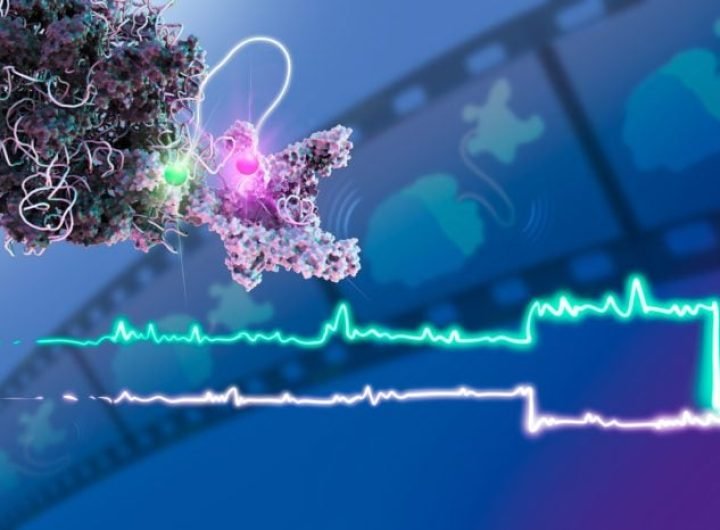 Single Molecule Multi Colour Fluorescence Microscopy Molecular Movie