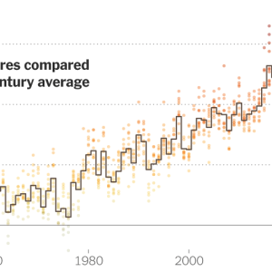 2024’s Record-Breaking Heat Brought the World to a Dangerous Threshold. Now What?