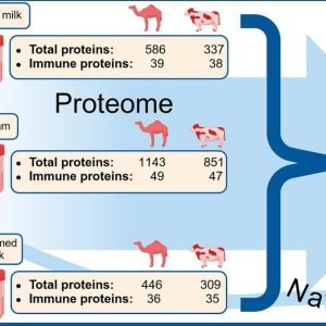 A good alternative to traditional dairy