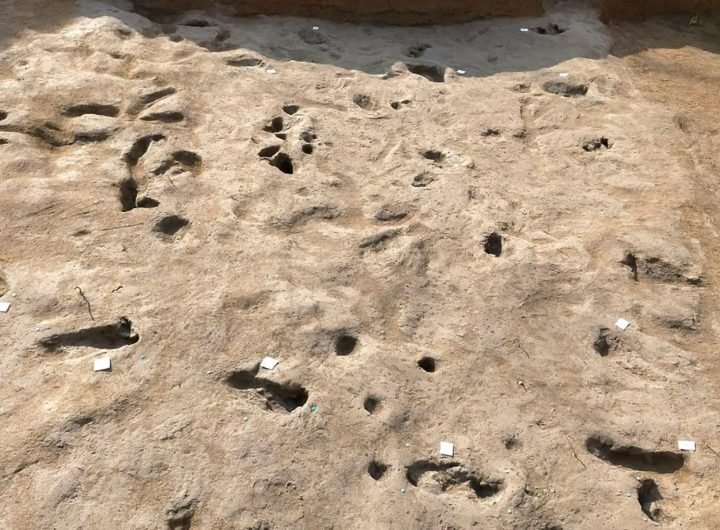 Ancient footprints of people who fled fiery Mount Vesuvius eruption 3,000 years ago unearthed by accident