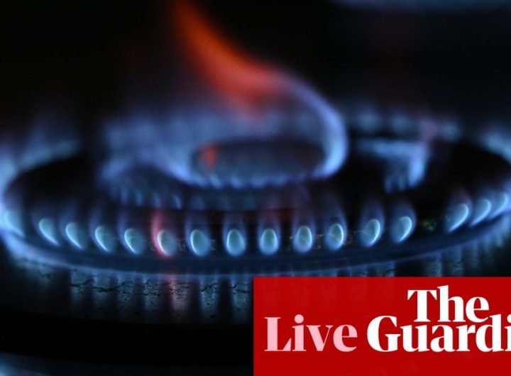 Australia news live: competition watchdog warns of upcoming gas shortfalls; rescued Hadi Nazari ‘keen for another hike’ | Australia news