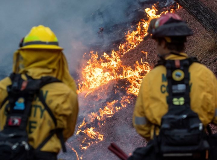 Before and after photos show scale of destruction from LA wildfires | Climate Crisis News