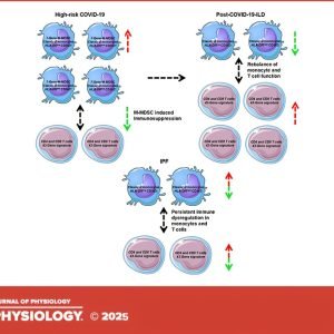 COVID-19 patients with pulmonary fibrosis show unexpected lung improvement