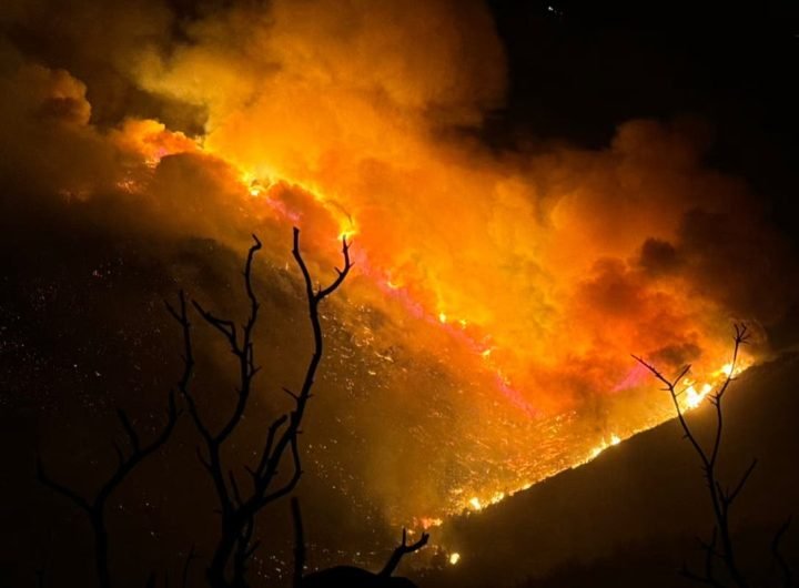 California wildfires live: Trump to visit LA; evacuation orders issued as new blaze explodes near U.S.-Mexico border