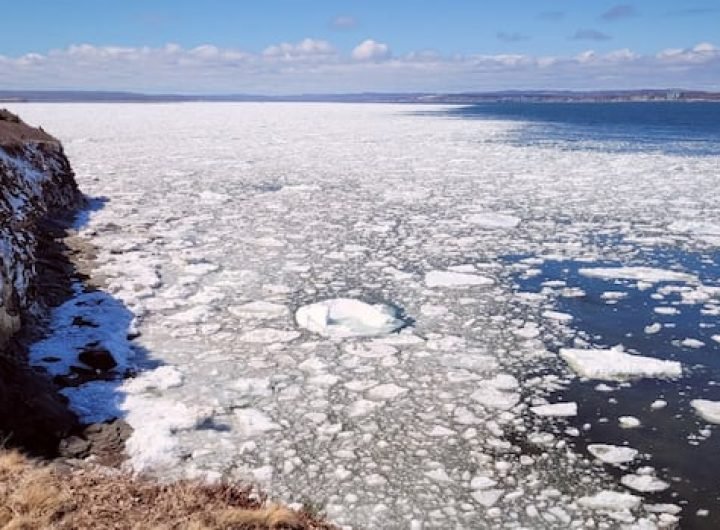 Cape Breton coastal communities concerned as climate change eliminating sea ice in Gulf