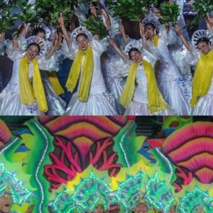 Carcar City, Bais City declared winners in Sinulog ...