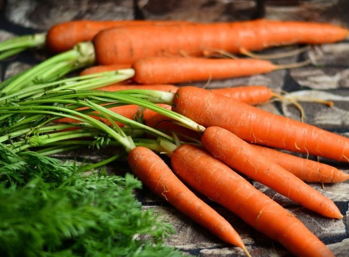 Carrots may aid in managing type 2 diabetes, study suggests