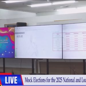 Comelec: Mock polls successful