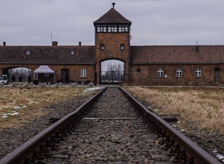 Discover the untold story of the Meller sisters' escape from Auschwitz | World | News