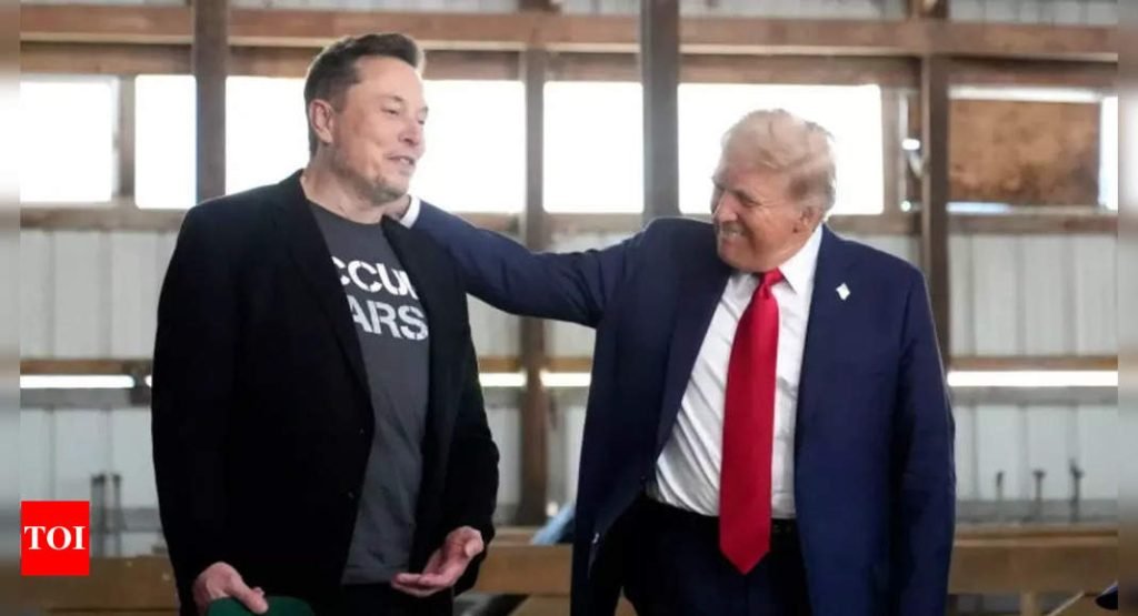 Donald Trump: 'Had Trump not won ... ': Elon Musk's bold claim on 2024 US election