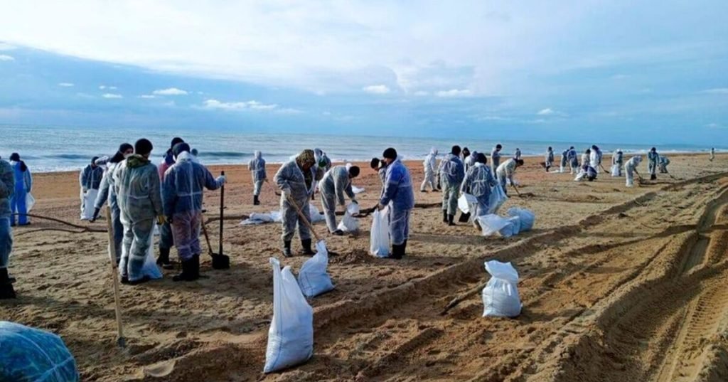 Dozens of dolphins wash up dead on beach after oil spill | World | News