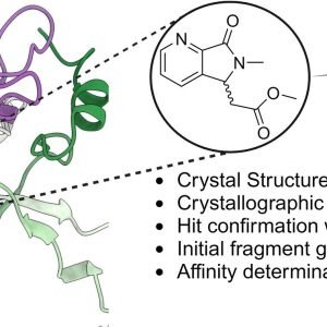 Drug candidates target metabolic pathway in bacteria while sparing human cells