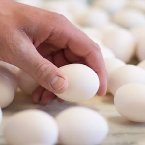 Eggs recalled in multiple provinces over salmonella concerns