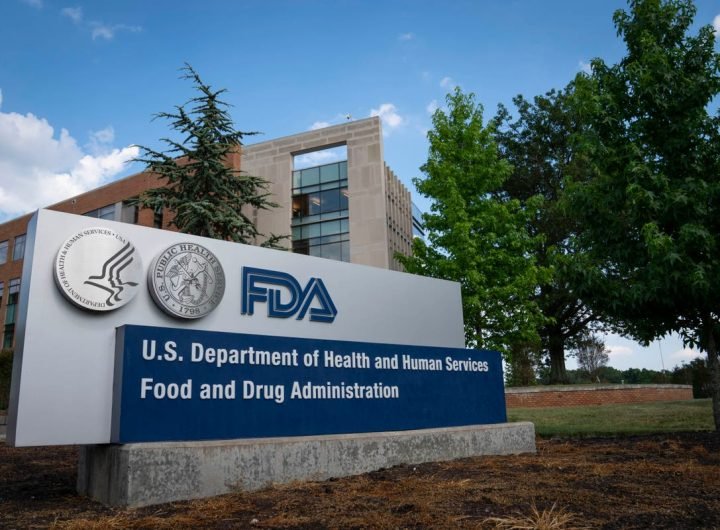 FDA begins testing raw cheese for bird flu