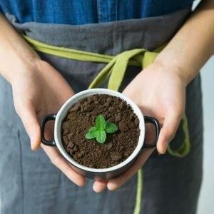 Filipino scientists made concrete blocks with coffee grounds