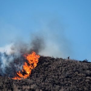 Forecasters warn LA residents of dangerous wind threats as crews work to contain latest blazes: Live updates