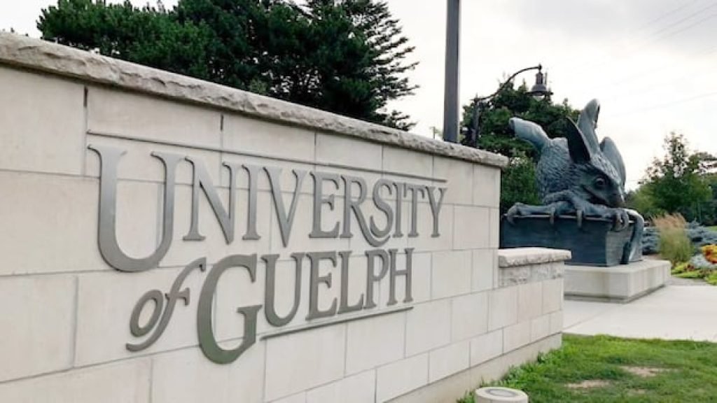 Gastrointestinal illness cases at University of Guelph rise to at least 234