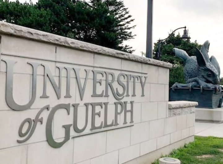 Gastrointestinal illness cases at University of Guelph rise to at least 234