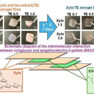 Green tea-based adhesive films show promise as a novel treatment for oral mucositis