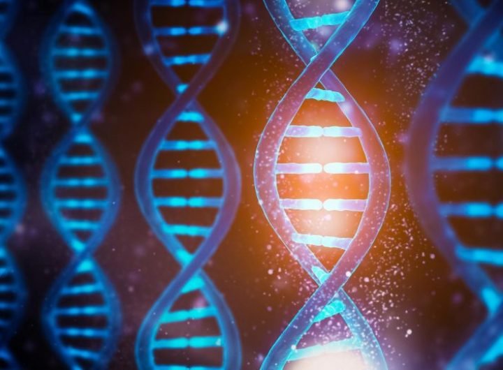 DNA Functions Concept