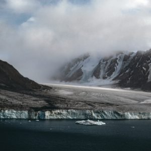 Guidance on animal-borne infections in the Canadian Arctic