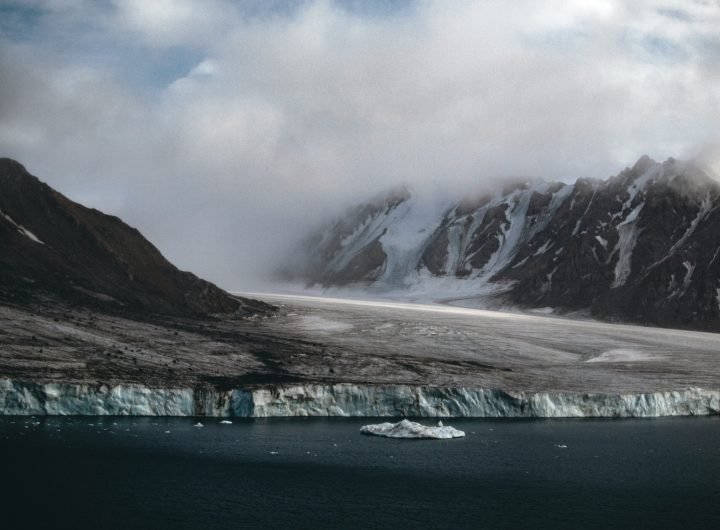 Guidance on animal-borne infections in the Canadian Arctic