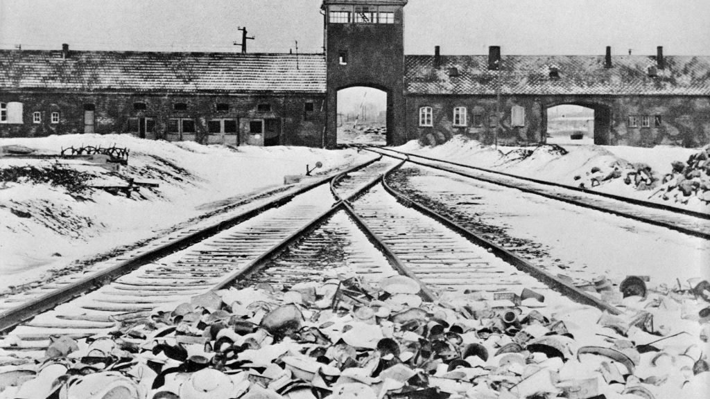 I was born in Auschwitz in a train of dead bodies... I was meant to die & only survived because Nazis ran out of gas