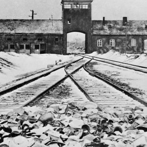 I was born in Auschwitz in a train of dead bodies... I was meant to die & only survived because Nazis ran out of gas