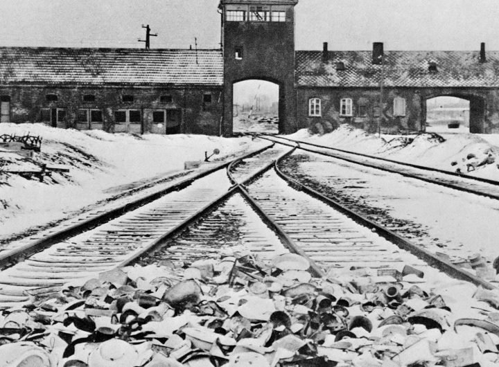 I was born in Auschwitz in a train of dead bodies... I was meant to die & only survived because Nazis ran out of gas