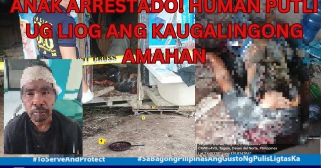 Kaso nga parricide ipasaka batok anak nga niihaw sa amahan