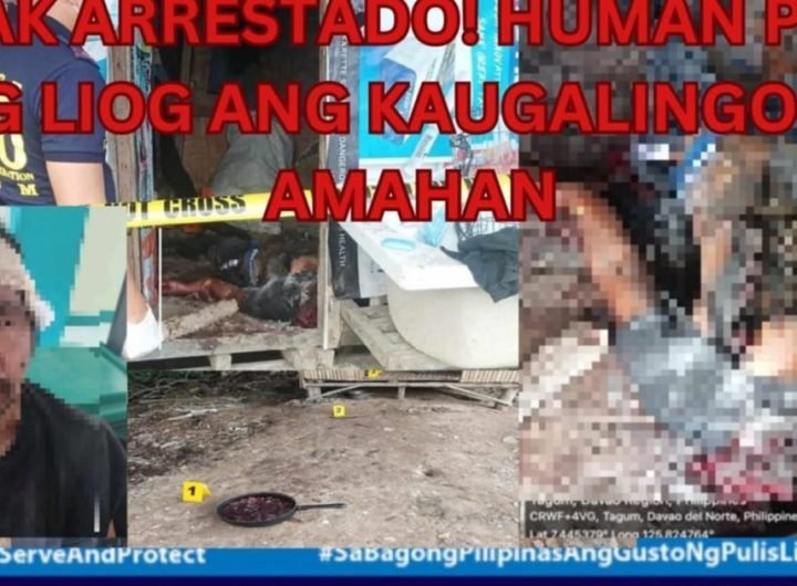 Kaso nga parricide ipasaka batok anak nga niihaw sa amahan