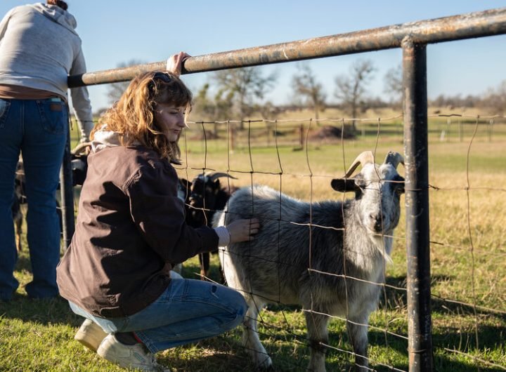 Kennedy’s Plan for the Drug Crisis: A Network of ‘Healing Farms’