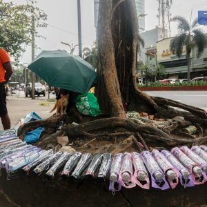 LOOK: A kitten accompanies its owner while selling umbrellas under a tree near the national park in Manila. | via Aram Lascano