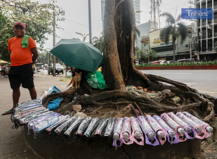 LOOK: A kitten accompanies its owner while selling umbrellas under a tree near the national park in Manila. | via Aram Lascano