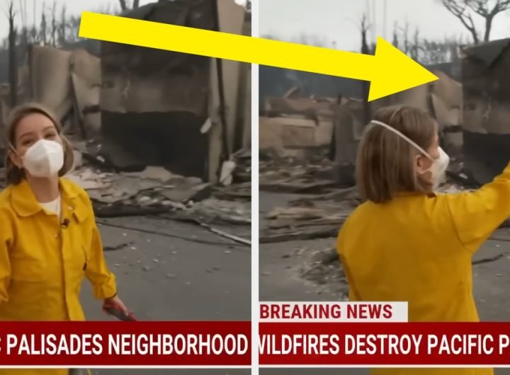 MSNBC's Katy Tur Finds Childhood Home Destroyed In LA Fires