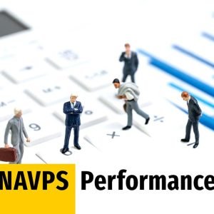 NAVPS Performance