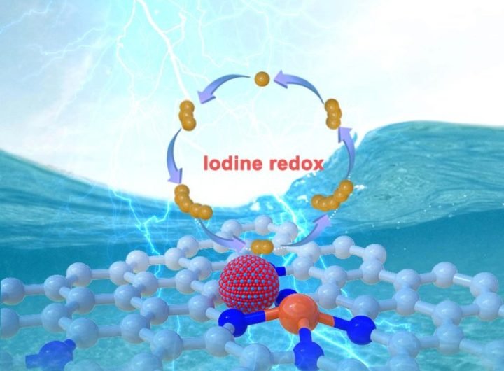 Zn SA MoC NCFs Contributes Iodine Redox