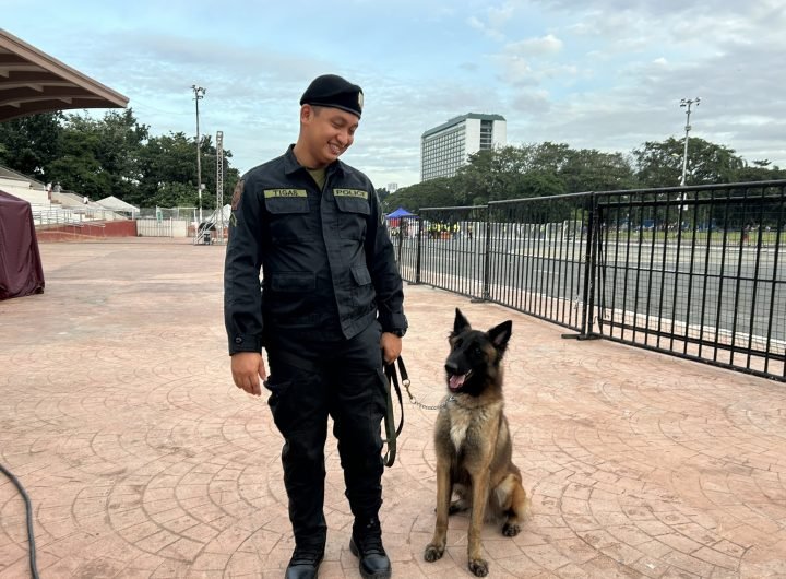 PNP deploys six K-9 units to ensure safety amid 'Pagpupugay' for Nazareno 2025